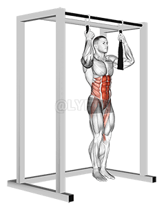 Arm slingers Hanging Bent Knee Legs demonstration