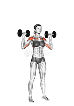 Dumbbell Standing Overhead Press demonstration