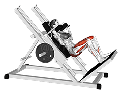 Sled Hack Squat demonstration