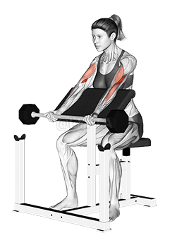Barbell Preacher Curl demonstration