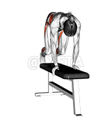 Side Up Jump Top Bench demonstration