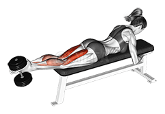 Dumbbell Lying Femoral demonstration