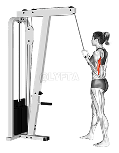 Cable Standing One Arm Triceps Extension demonstration