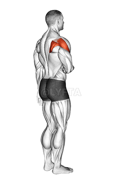 Shoulder - Lateral Rotation demonstration