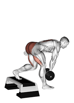 Dumbbell Single Leg Deadlift with Stepbox Support demonstration