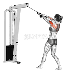 Cable Standing Rear Delt Row demonstration