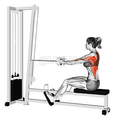 Cable Straight Back Seated Row demonstration