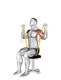 Resistance Band Seated Shoulder Press demonstration