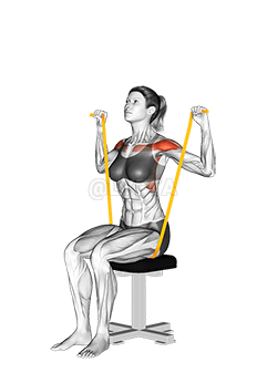 Resistance Band Seated Shoulder Press demonstration