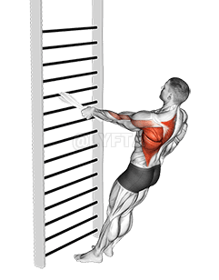 Bodyweight Standing One Arm Row demonstration