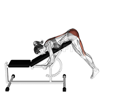 Incline Reverse Hyperextension demonstration