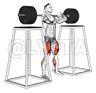 Barbell Front Squat demonstration