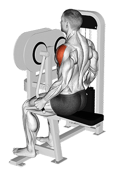 Lever Lateral Raise demonstration