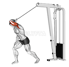 Cable One Arm High Pulley Overhead Tricep Extension demonstration