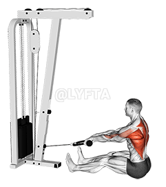 Cable Seated on Floor Row with Rope demonstration