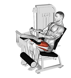 Lever Seated Leg Extension demonstration