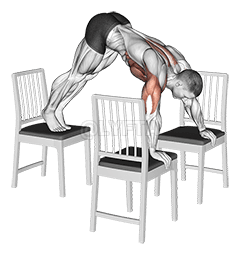 Pike Push-up demonstration