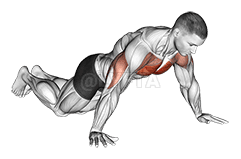 Kneeling Wide Hand Push-Up demonstration