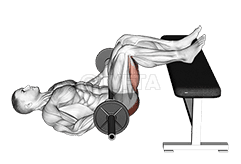 Barbell Glute Bridge Two Legs on Bench demonstration