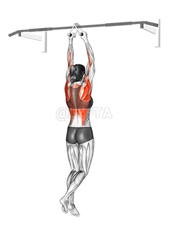 Chin ups demonstration