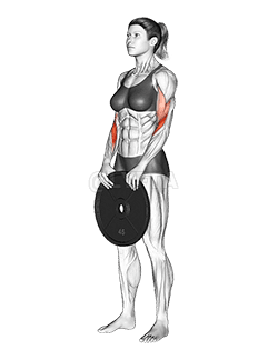 Weighted Standing Curl demonstration