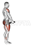 Weighted Lunge with Swing demonstration