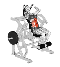 Lever Seated Leg Raise Crunch demonstration