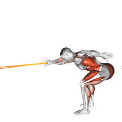 Resistance Band Deadlift with Single Arm Row demonstration