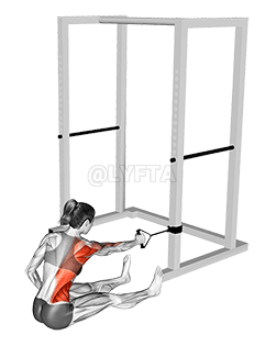 Band One Arm Twisting Seated Row demonstration