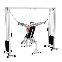 Cable Fly with Chest Supported demonstration