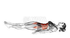 Jack knife Sit-Up demonstration