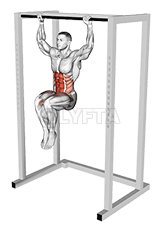Hanging Knees to Elbows demonstration