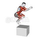 Jump on Fit-Box demonstration