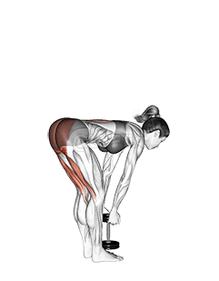 Dumbbell Stiff Leg Deadlift demonstration