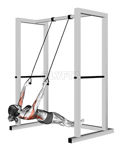 Inverted Row with Straps demonstration