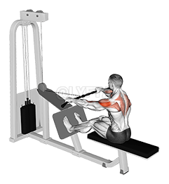 Cable Rear Delt Row demonstration