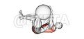 Dead Bug with Stability Ball demonstration