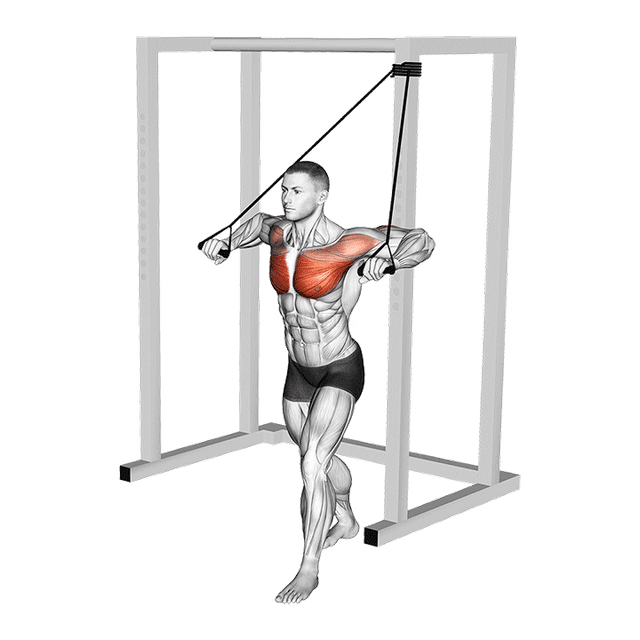 Band Low Alternate Chest Press demonstration