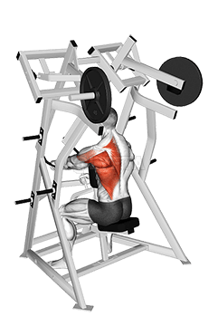 Lever One Arm Low Row demonstration