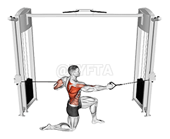 Cable Half Kneeling Push Pull demonstration