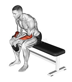 Weighted Seated Reverse Wrist Curl demonstration