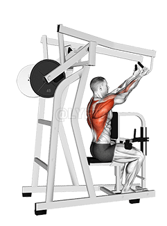 Lever Reverse Grip High Row demonstration
