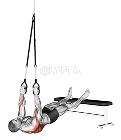 Suspender Wide Grip Inverted Row demonstration