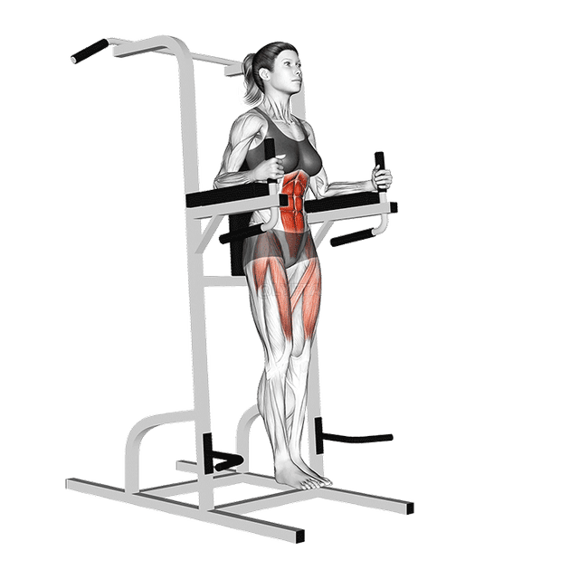 Captains Chair Straight Leg Raise demonstration