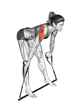Bar Band Skier demonstration