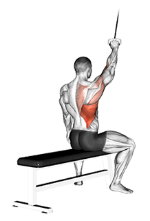 Alternate Lateral Pulldown exercise demonstration