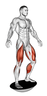 Balance Board exercise demonstration for Calves, Body weight
