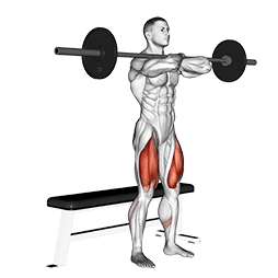 Barbell Bench Front Squat exercise demonstration for Quadriceps, and Thighs, Barbell