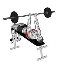 Decline Bent Arm Pullover exercise demonstration for Back, Barbell