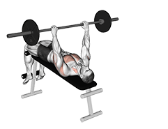 Decline wide-grip pullover exercise demonstration